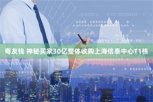 粤友钱 神秘买家30亿整体收购上海信泰中心T1栋