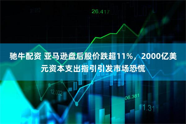 驰牛配资 亚马逊盘后股价跌超11%，2000亿美元资本支出指引引发市场恐慌