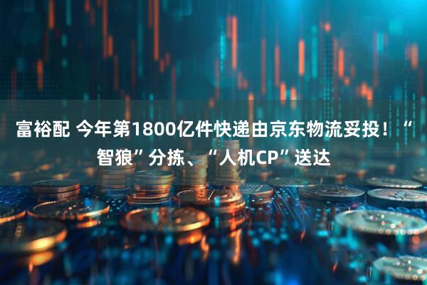 富裕配 今年第1800亿件快递由京东物流妥投！“智狼”分拣、“人机CP”送达