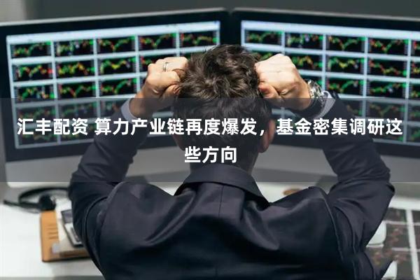 汇丰配资 算力产业链再度爆发，基金密集调研这些方向