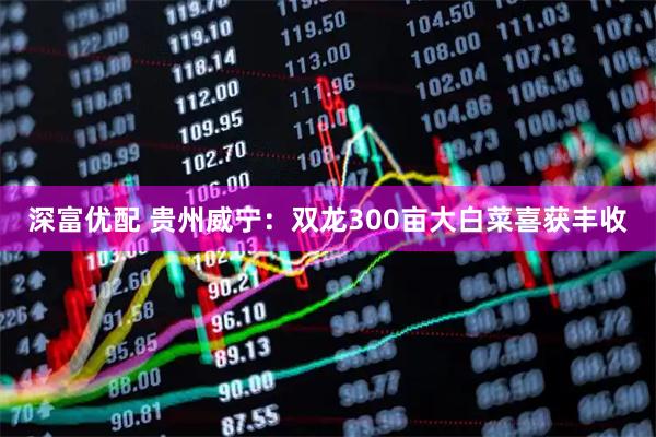 深富优配 贵州威宁：双龙300亩大白菜喜获丰收