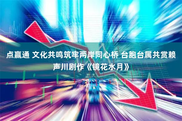 点赢通 文化共鸣筑牢两岸同心桥 台胞台属共赏赖声川剧作《镜花水月》